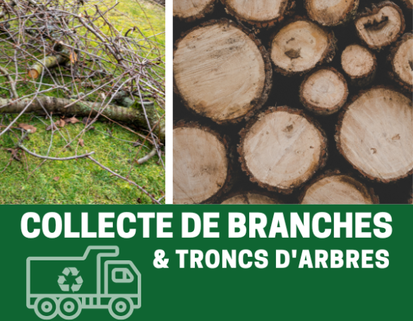 Service de collecte de branches sur demande