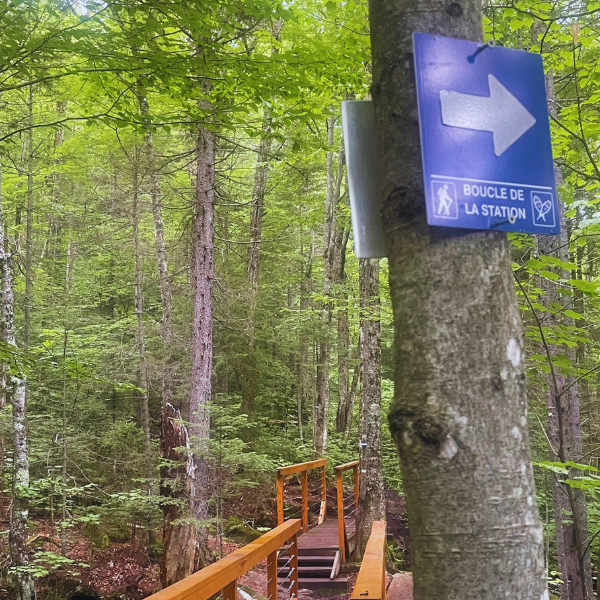 Boucle de la station