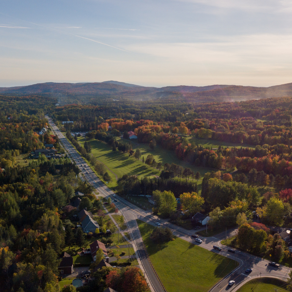 Portrait et statistiques
